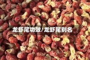 龙虾尾功效/龙虾尾别名