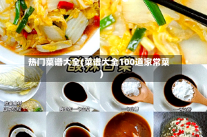 热门菜谱大全(菜谱大全100道家常菜)
