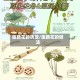 莲藕花的功效/莲藕花的做法