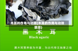 木耳的作用与功效(木耳的作用与功效禁忌)