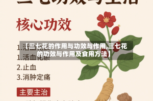 【三七花的作用与功效与作用,三七花的功效与作用及食用方法】