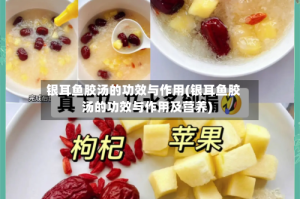 银耳鱼胶汤的功效与作用(银耳鱼胶汤的功效与作用及营养)
