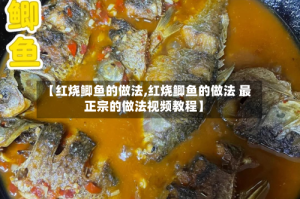 【红烧鲫鱼的做法,红烧鲫鱼的做法 最正宗的做法视频教程】