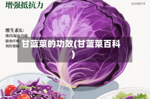 甘蓝菜的功效(甘蓝菜百科)