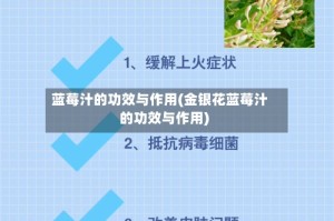 蓝莓汁的功效与作用(金银花蓝莓汁的功效与作用)