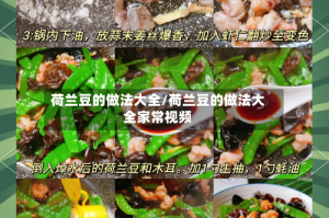 荷兰豆的做法大全/荷兰豆的做法大全家常视频