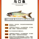 【鱼的大全,鱼的种类图片及叫法?】