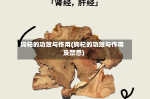 狗杞的功效与作用(狗杞的功效与作用及禁忌)