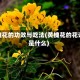 黄槐花的功效与吃法(黄槐花的花语是什么)