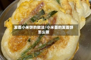 发面小米饼的做法/小米面的发面饼怎么做