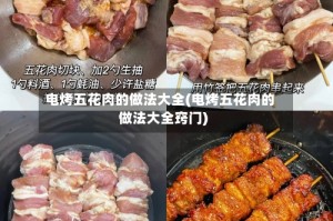 电烤五花肉的做法大全(电烤五花肉的做法大全窍门)
