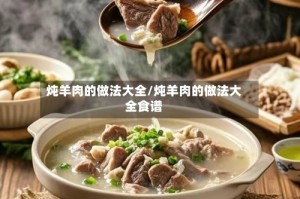 炖羊肉的做法大全/炖羊肉的做法大全食谱