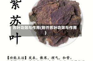 苏叶功效与作用(荆芥苏叶功效与作用)