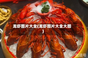 龙虾图片大全(龙虾图片大全大图)