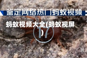 蚂蚁视频大全(蚂蚁视屏)