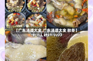 【广东汤谱大全,广东汤谱大全 秋冬】