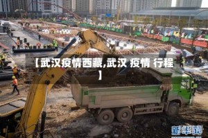 【武汉疫情西藏,武汉 疫情 行程】