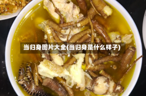 当归身图片大全(当归身是什么样子)