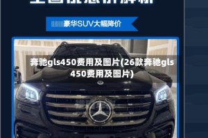奔驰gls450费用及图片(26款奔驰gls450费用及图片)