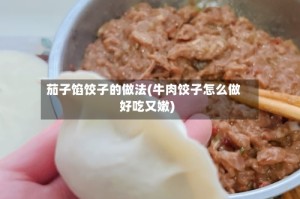 茄子馅饺子的做法(牛肉饺子怎么做好吃又嫩)