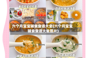 六个月宝宝辅食食谱大全(六个月宝宝辅食食谱大全图片)