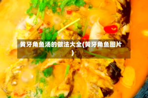 黄牙角鱼汤的做法大全(黄牙角鱼图片)