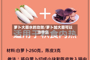 萝卜大蒜水的功效/萝卜加大蒜可以治什么