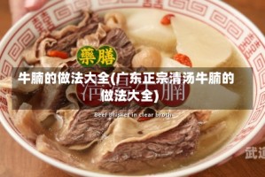 牛腩的做法大全(广东正宗清汤牛腩的做法大全)
