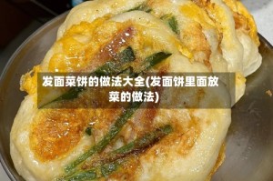 发面菜饼的做法大全(发面饼里面放菜的做法)