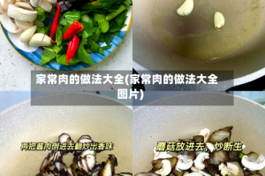 家常肉的做法大全(家常肉的做法大全图片)