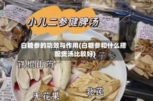 白糖参的功效与作用(白糖参和什么搭配煲汤比较好)