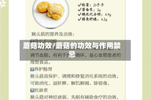 蘑菇功效/蘑菇的功效与作用禁忌