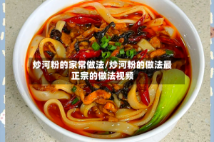 炒河粉的家常做法/炒河粉的做法最正宗的做法视频