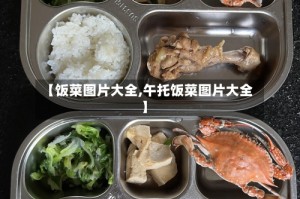 【饭菜图片大全,午托饭菜图片大全】