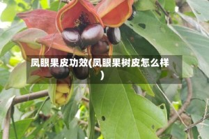 凤眼果皮功效(凤眼果树皮怎么样)