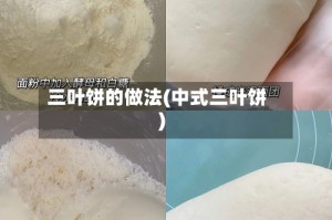 三叶饼的做法(中式三叶饼)
