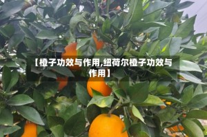 【橙子功效与作用,纽荷尔橙子功效与作用】