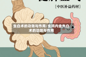 生白术的功效与作用/生鸡内金生白术的功效与作用