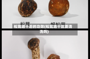 松茸晒干后的功效(松茸晒干前要清洗吗)