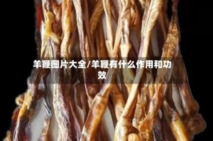 羊鞭图片大全/羊鞭有什么作用和功效