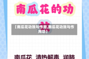 【南瓜花功效与作用,南瓜花功效与作用功】