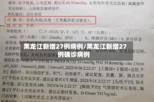 黑龙江新增27例病例/黑龙江新增27例确诊病例