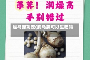 脆马蹄功效(脆马蹄可以生吃吗)