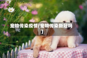 宠物传染疫情(宠物传染新冠吗)