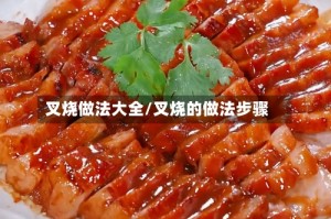 叉烧做法大全/叉烧的做法步骤