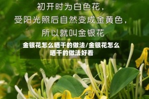 金银花怎么晒干的做法/金银花怎么晒干的做法好看