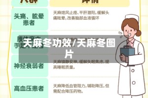 天麻冬功效/天麻冬图片