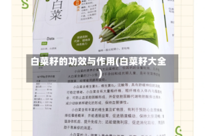 白菜籽的功效与作用(白菜籽大全)