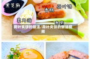 荷叶夹饼的做法/荷叶夹饼的做法视频