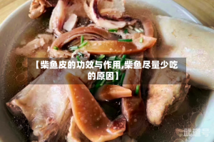 【柴鱼皮的功效与作用,柴鱼尽量少吃的原因】